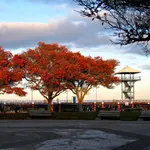 Port Angeles Attractions: Unforgettable things to do on your Port Angeles vacation, plus recommended nearby activities in the Pacific Northwest