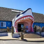 Ocean Shores WA: Located on the peninsula that partially forms Grays Harbor, with access to both Pacific Ocean and a variety of beach recreation.