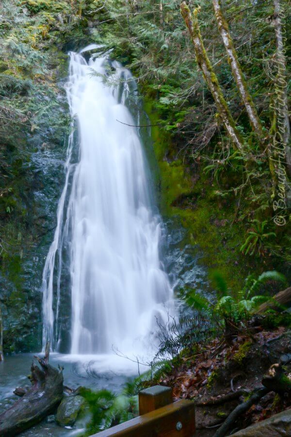 Waterfall Pictures - Olympic Peninsula in Washington State