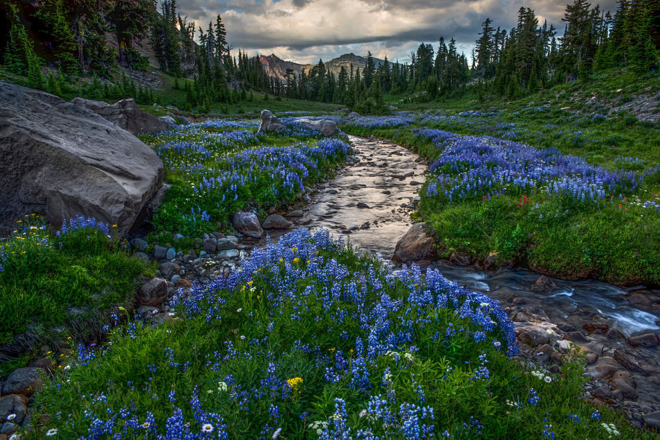 Goat Rocks. Photo by Roger Mosley Photography