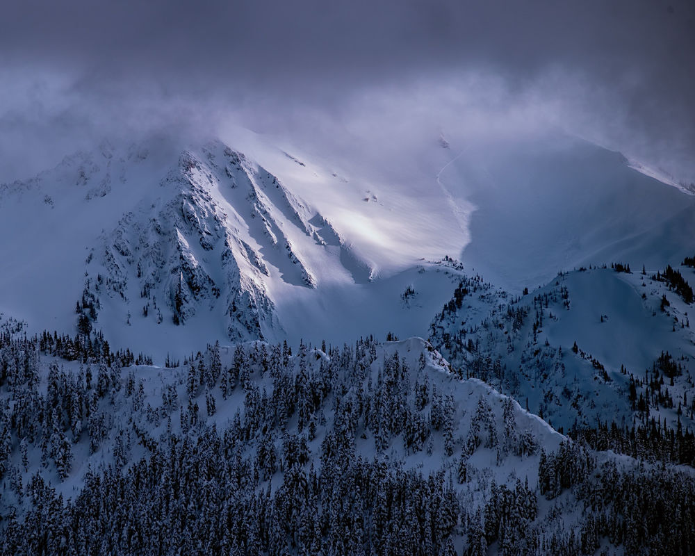 Snowy peaks of the Olympic Mountains from Hurricane Ridge. Photographer: Roger Mosley Photography