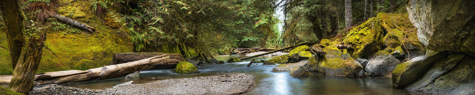 Lyre Creek Panorama. Photographer: Roger Mosley