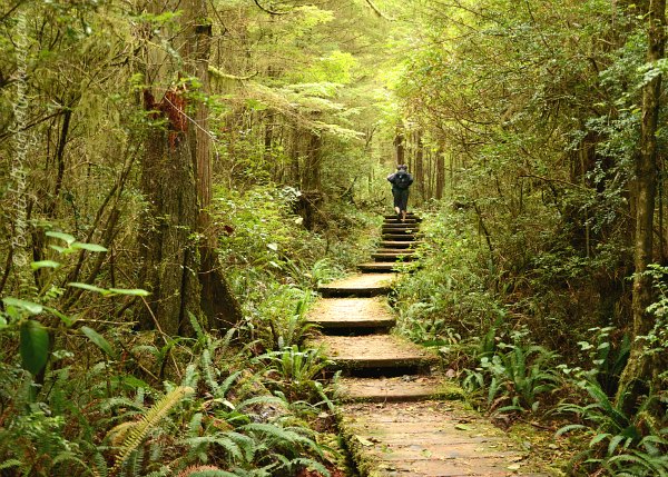 Olympic National Park Pictures