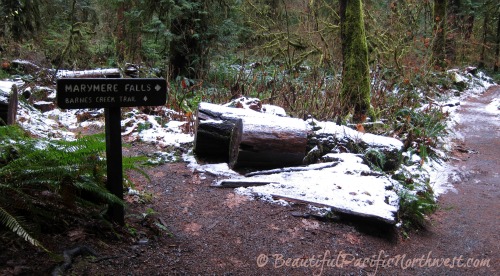 Sign indicating a left turn for the Barnes Creek Trail. Continue on to arrive at Marymere Falls