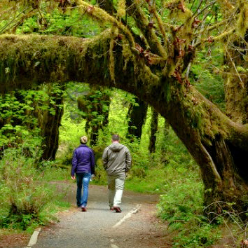 Olympic National Park Vacations!