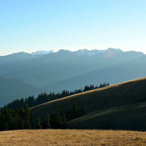 Hurricane Ridge in Olympic National Park