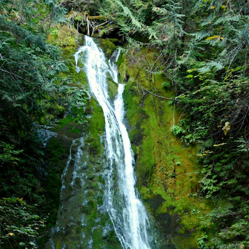 Madison Falls in Olympic National Park