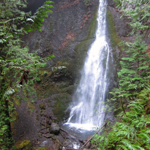 Marymere Falls in Olympic National Park near Port Angeles