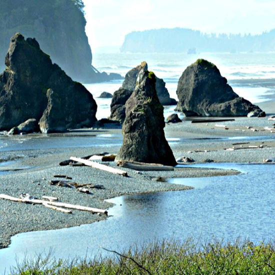 Olympic National Park Beaches