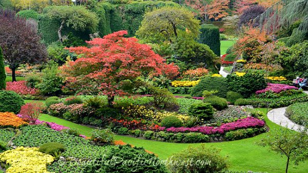 Butchart Garden - Sunken Garden