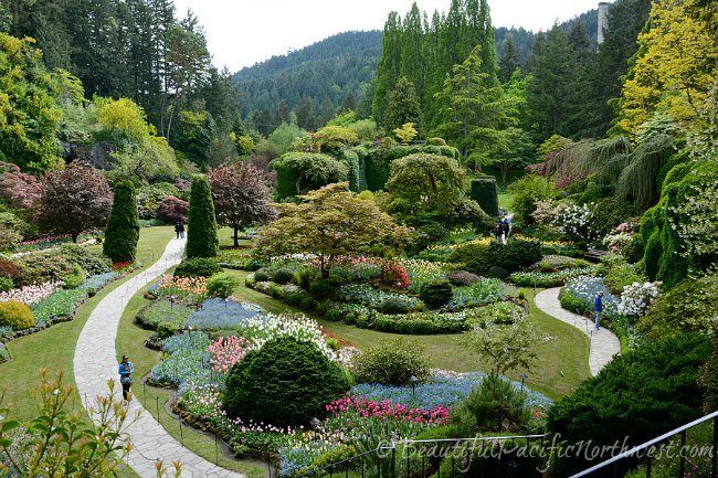 Butchart Gardens