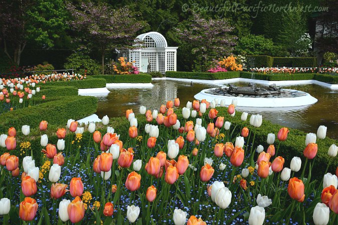 Butchart Garden Grounds and More