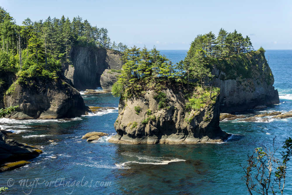 forks washington tourist attractions