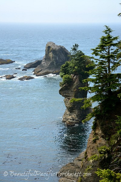 Views from Cape Flattery WA