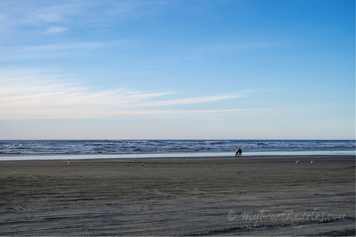 ocean shores wa tourism