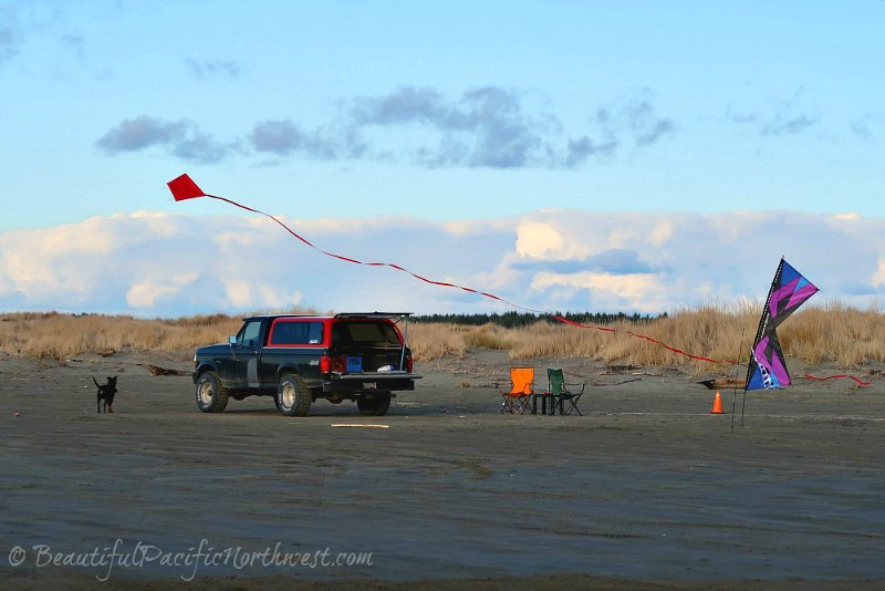 Recreational opportunities galore on Ocean Shore beaches on Olympic Peninsula Recreational opportunities galore on Ocean Shore beaches on Olympic Peninsula
