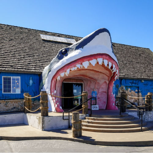 Ocean Shores WA Tourism Hot Spot on the Pacific near Rain Forests