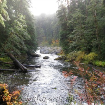 Port Angeles Attractions - this is the Sol Duc Salmon Cascades