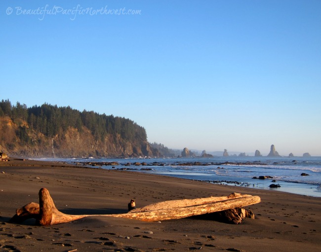 Olympic National Park Beaches in Washington State - ThirDbeachlapush