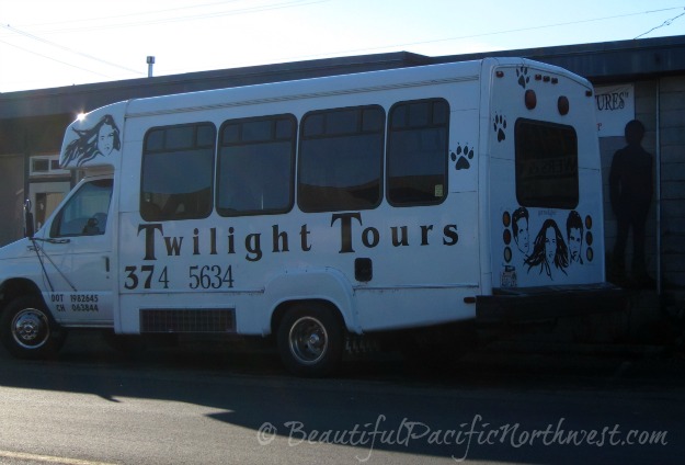Team Forks leads Twilight tours in Forks and La Push WA