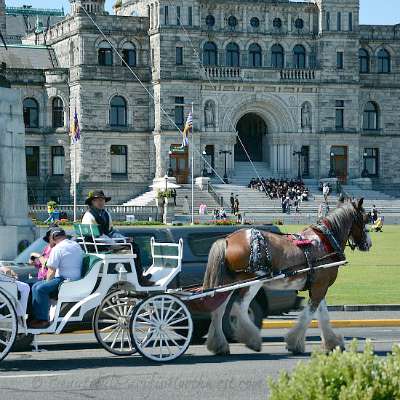 Victoria Attractions